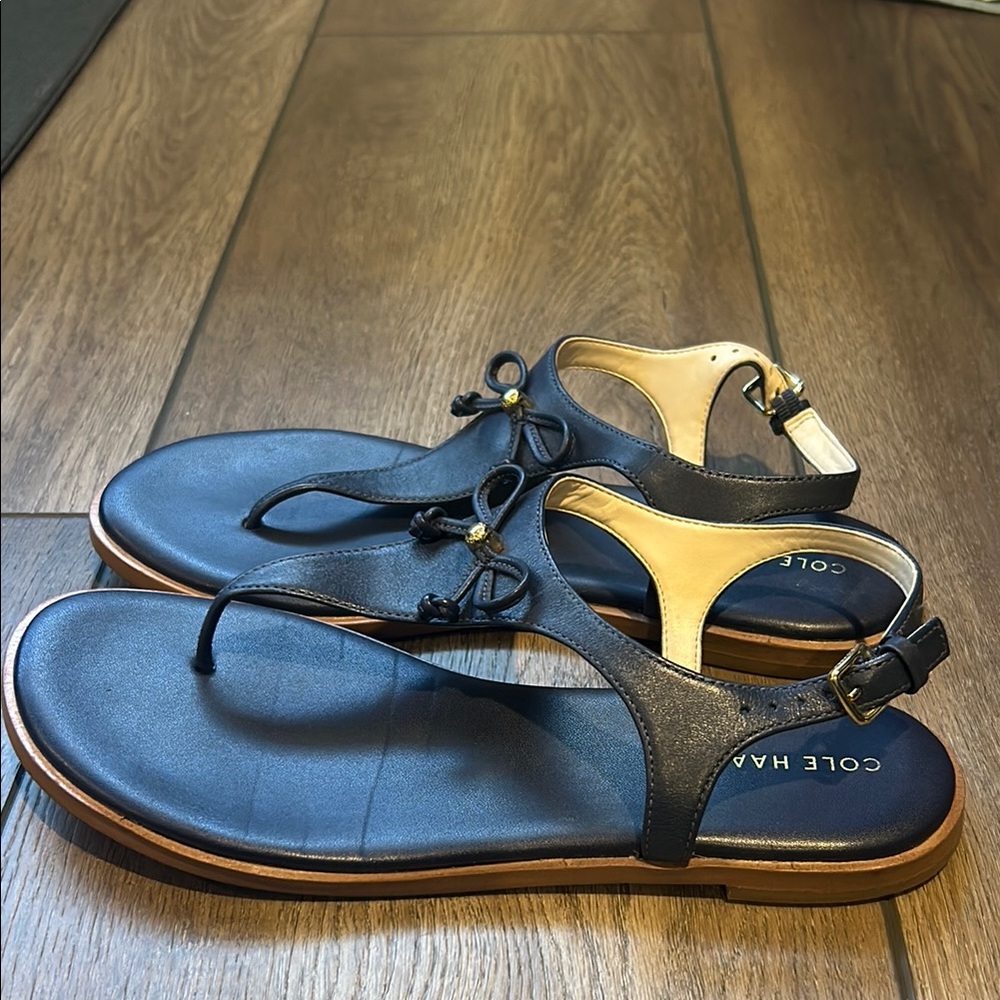 Cole Haan Navy Sandals